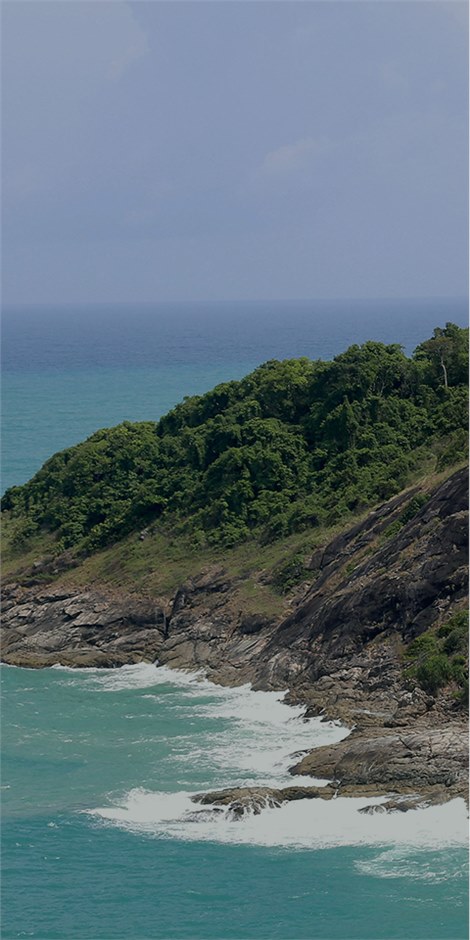 荒野海島